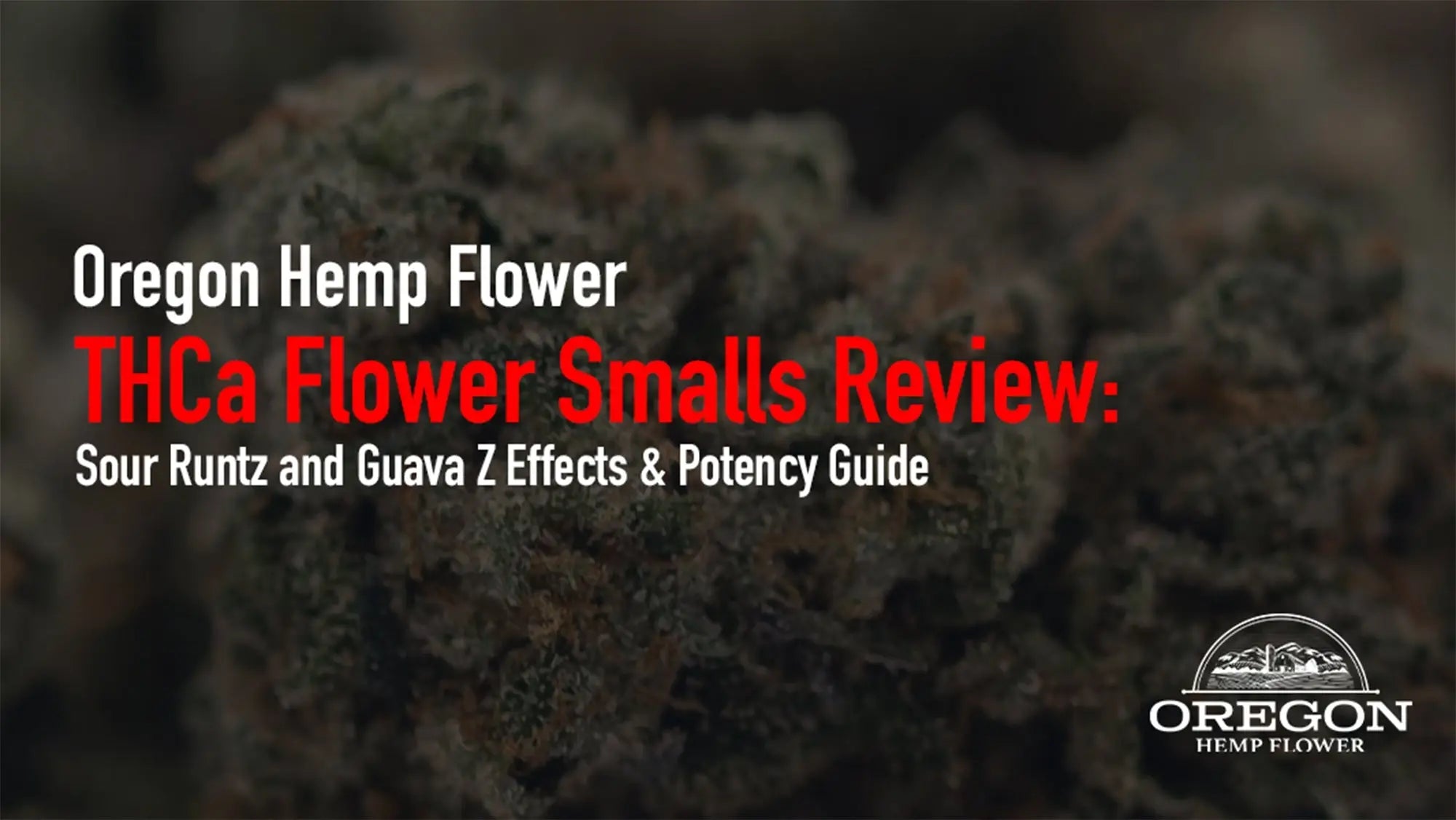 THCa Flower Smalls Review: Sour Runtz and Guava Z Guide
