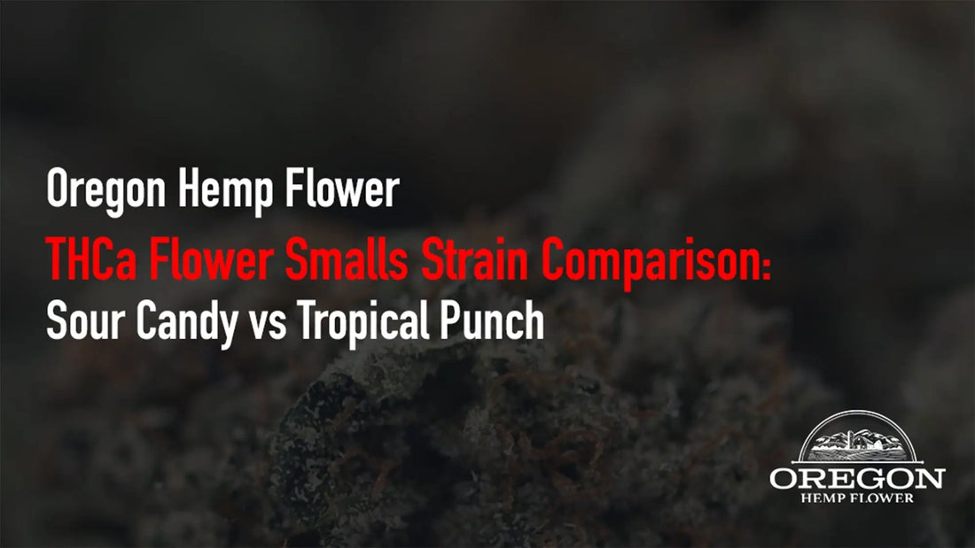 Sour Candy vs Tropical Punch