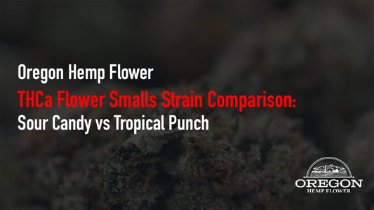 Sour Candy vs Tropical Punch