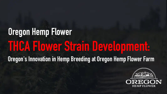 THCA Flower Strain Development: Oregon’s Innovation in Hemp Breeding at Oregon Hemp Flower Farm