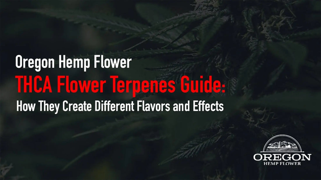 THCA Flower Terpenes Guide: How They Create Different Flavors and Effects