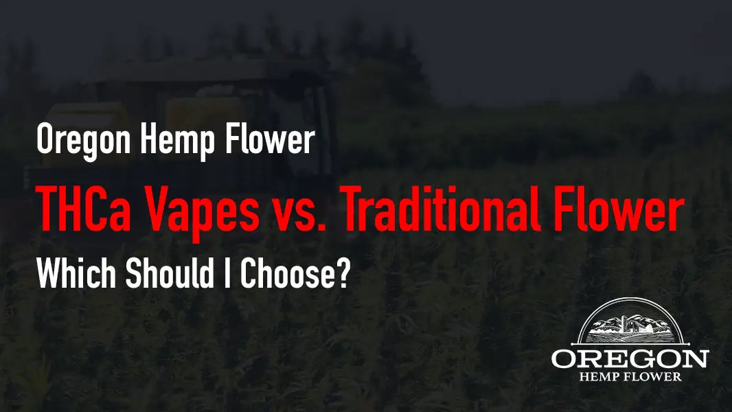 THCa Vapes vs. Traditional Flower—Which Should I Choose?