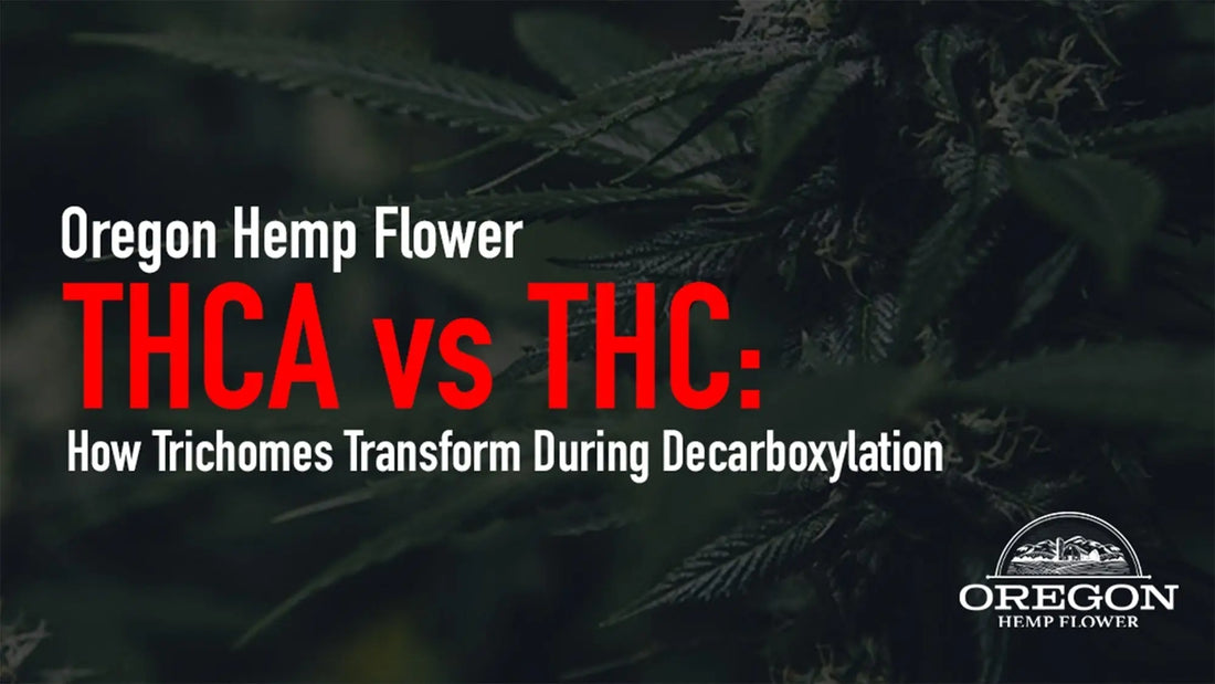 THCA vs THC