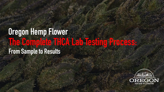 The Complete THCA Lab Testing Process