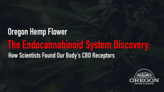 The Endocannabinoid System Discovery
