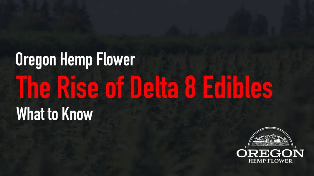 The Rise of Delta 8 Edibles—What to Know