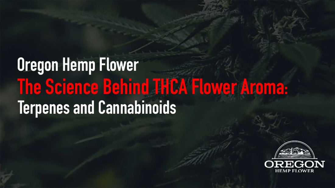The Science Behind THCA Flower Aroma