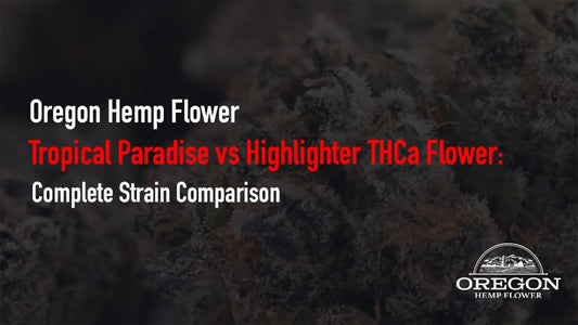 Tropical Paradise vs Highlighter THCa Flower