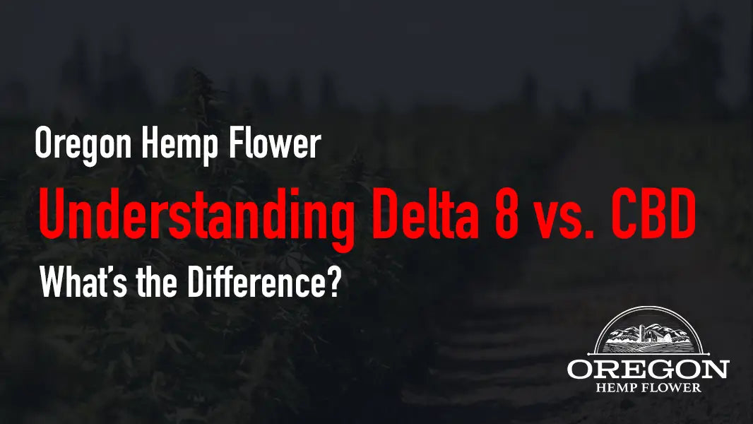 Understanding Delta 8 vs. CBD—What’s the Difference?