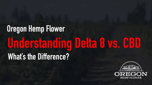 Understanding Delta 8 vs. CBD—What’s the Difference?