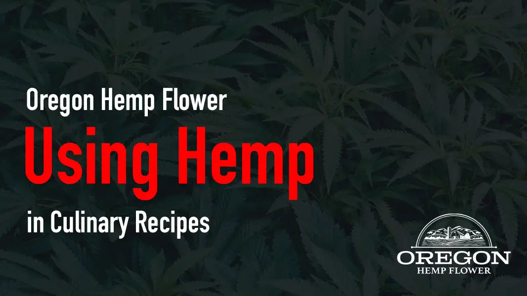 Using Hemp in Culinary Recipes