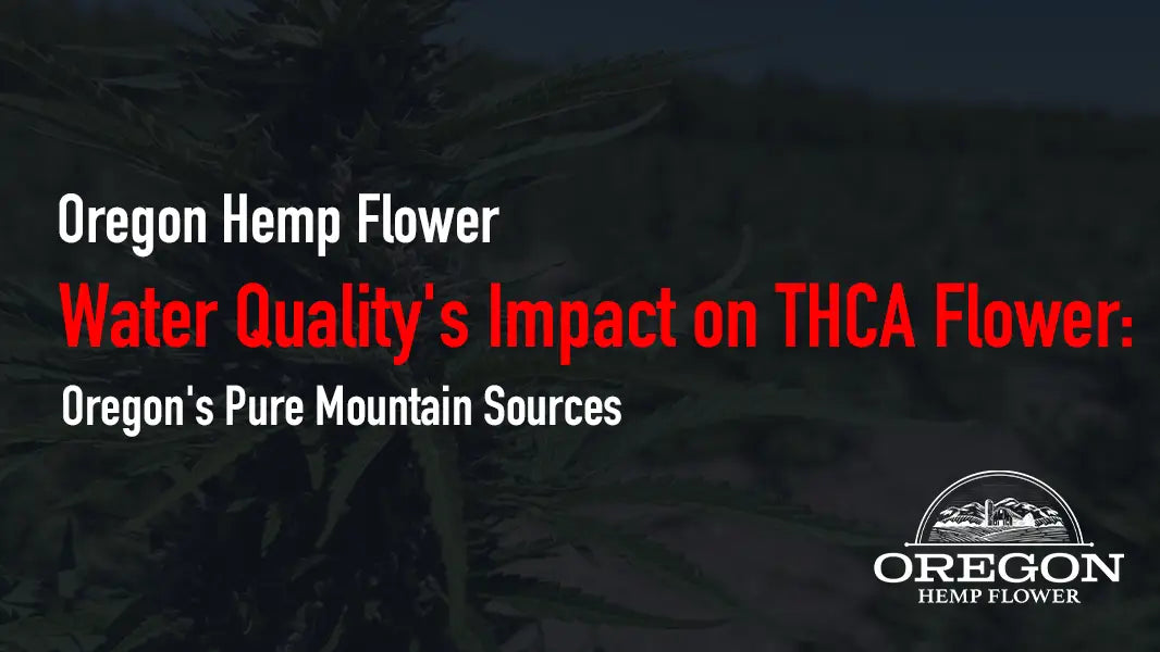 Water Quality’s Impact on THCA Flower: Oregon’s Pure Mountain Sources