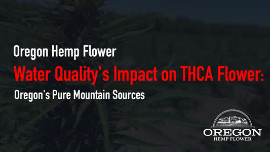 Water Quality’s Impact on THCA Flower: Oregon’s Pure Mountain Sources