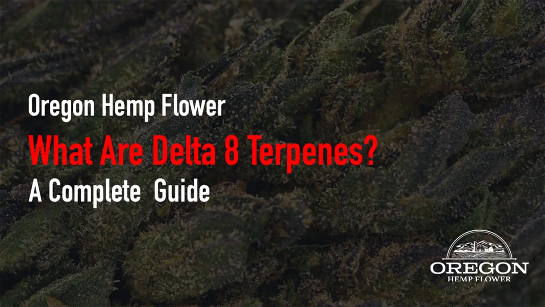 What Are Delta 8 Terpenes?