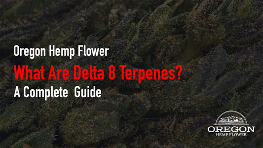 What Are Delta 8 Terpenes?