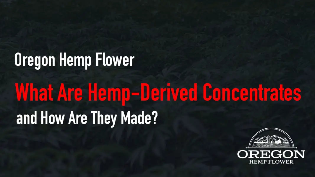 What Are Hemp-Derived Concentrates and How Are They Made?