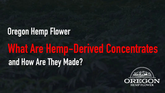 What Are Hemp-Derived Concentrates and How Are They Made?
