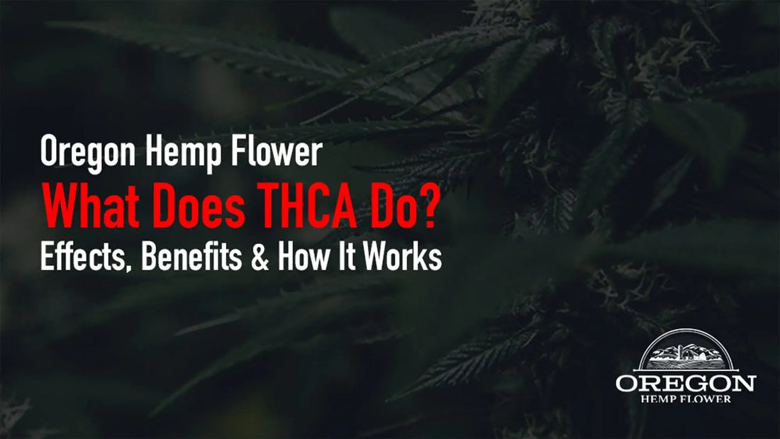Discover how THCA interacts with your body, the reported anti-inflammatory, neuroprotective, and anti-nausea properties.