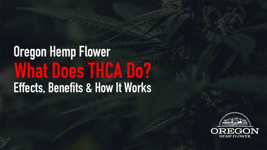Discover how THCA interacts with your body, the reported anti-inflammatory, neuroprotective, and anti-nausea properties.