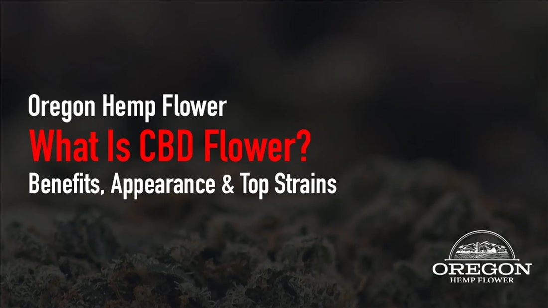 What is CBD flower and how it works? Explore CBD hemp flower benefits, what it looks like, the strongest CBD flower strains, and how it compares to THCA flower.