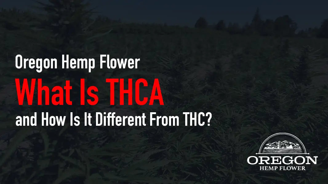 What Is THCA and How Is It Different From THC?