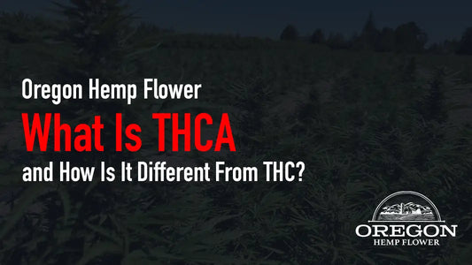 What Is THCA and How Is It Different From THC?