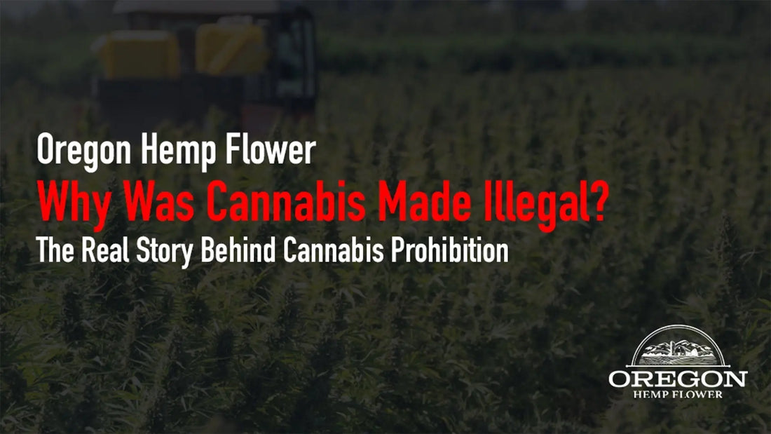 Why Was Cannabis Made Illegal? The Real Story Behind Cannabis Prohibition