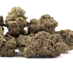 After Dark #2 THCa Hemp Flower Greenhouse Wholesale