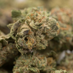 After Dark THCa Hemp Flower Greenhouse Wholesale Smalls