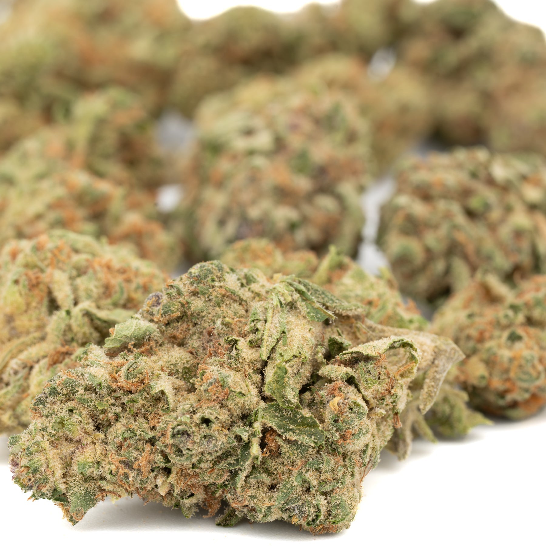 Agent Orange THCa Hemp Flower Greenhouse - Plants