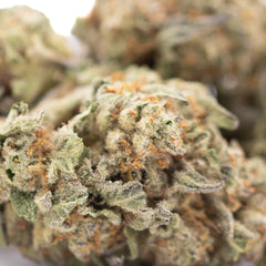 Astroboy THCa Hemp Flower Greenhouse