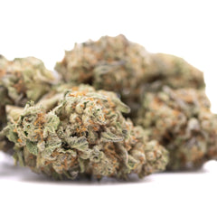 Astroboy THCa Hemp Flower Greenhouse