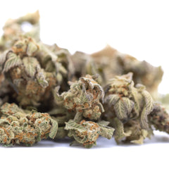 Astroboy THCa Hemp Flower Greenhouse Smalls