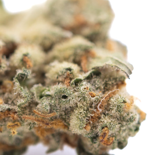 Astroboy THCa Hemp Flower Greenhouse Smalls