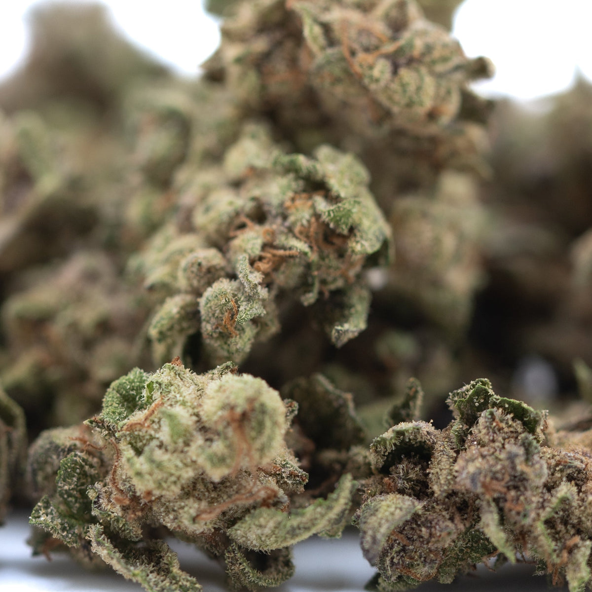 Bahama Bussdown THCa Hemp Flower Greenhouse Smalls