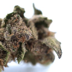 Bahama Bussdown THCa Hemp Flower Greenhouse Smalls
