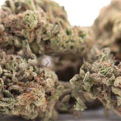 Bahama Bussdown THCa Hemp Flower Greenhouse