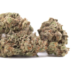 Bahama Bussdown THCa Hemp Flower Greenhouse