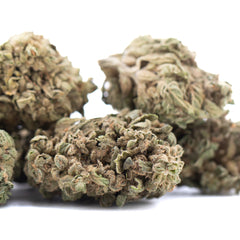 Banana OG THCa Flower Full-Term Wholesale