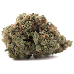 Banana OG THCa Flower Full-Term Wholesale