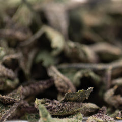 Banana Kush Indoor THCa Trim Wholesale