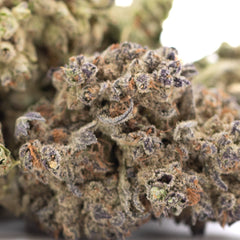 Banjerine THCa Flower Full-Term Wholesale