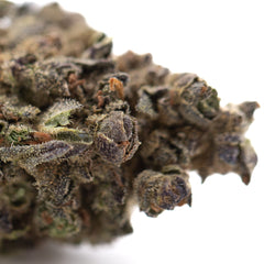 Banjerine THCa Flower Full-Term