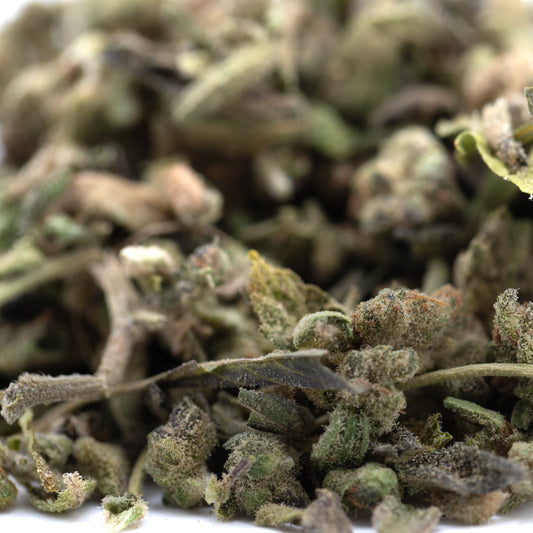 Banjerine Full-Term THCa Trim Wholesale