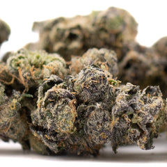 Berry Blast Indoor THCa Flower Wholesale