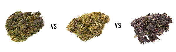 Best Delta 8 Strains for Relaxation