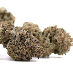 Black Ice THCa Hemp Flower Greenhouse Wholesale