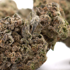 Black Ice THCa Hemp Flower Greenhouse