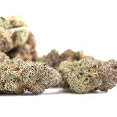 Blueberry Kush Indoor THCa Flower Wholesale