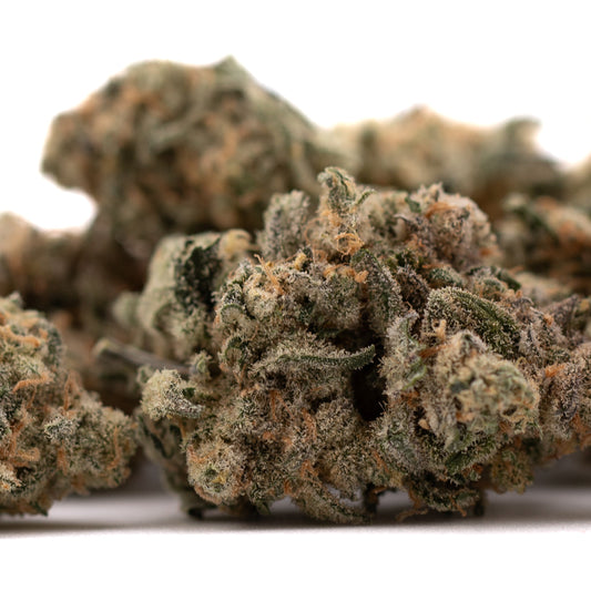 Blue Dream #2 Indoor THCa Flower - Plants